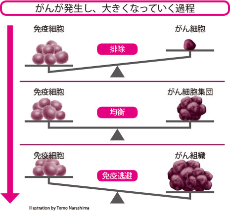 ©MEDINET Co.,Ltd