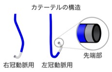 カテーテルの構造