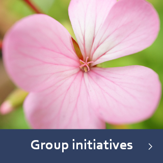 Group initiatives