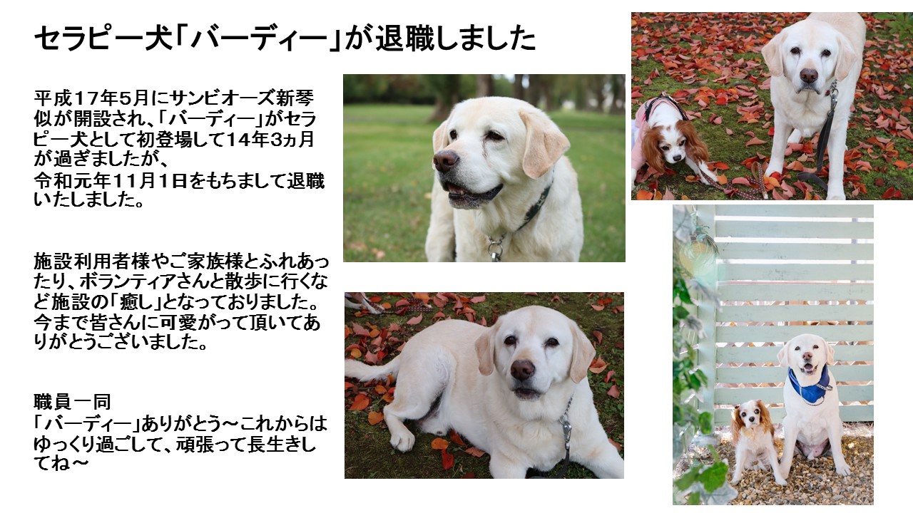 セラピー犬「バーディー」退職