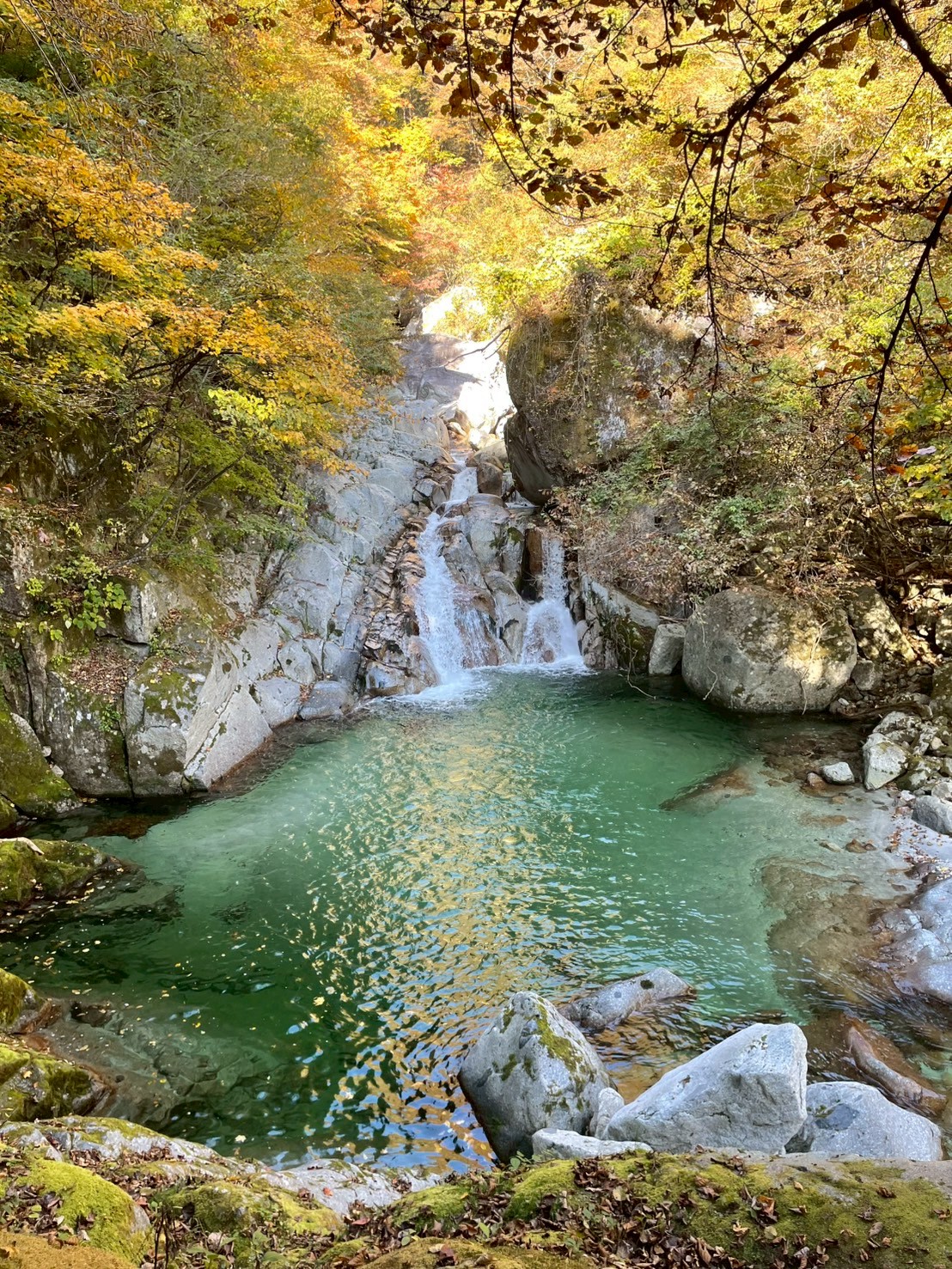 長谷川病院 職員同好会活動 登山部 尾白川渓谷