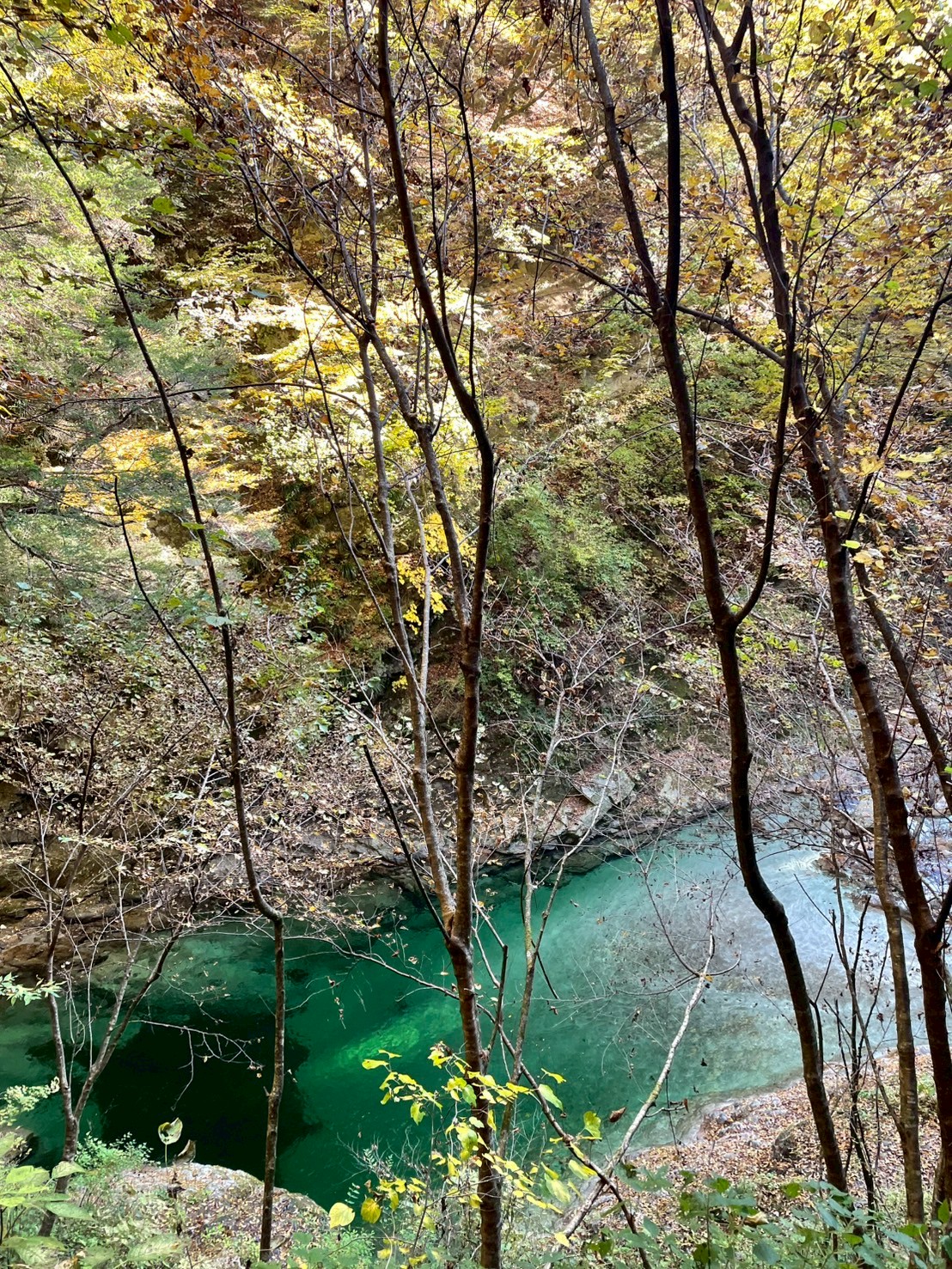 長谷川病院 職員同好会活動 登山部 尾白川渓谷