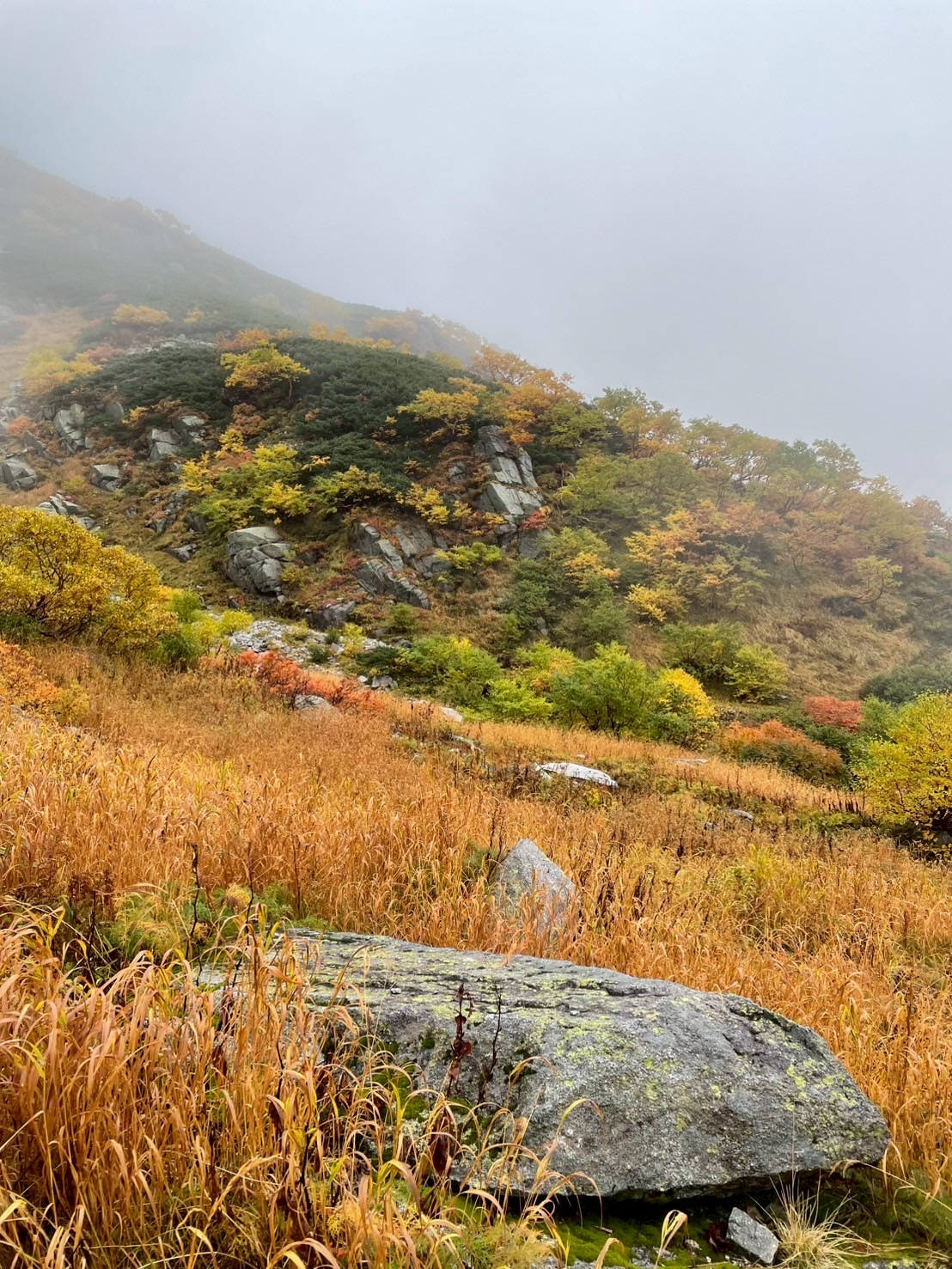 長谷川病院 職員同好会活動 登山部 木曽駒ヶ岳登山