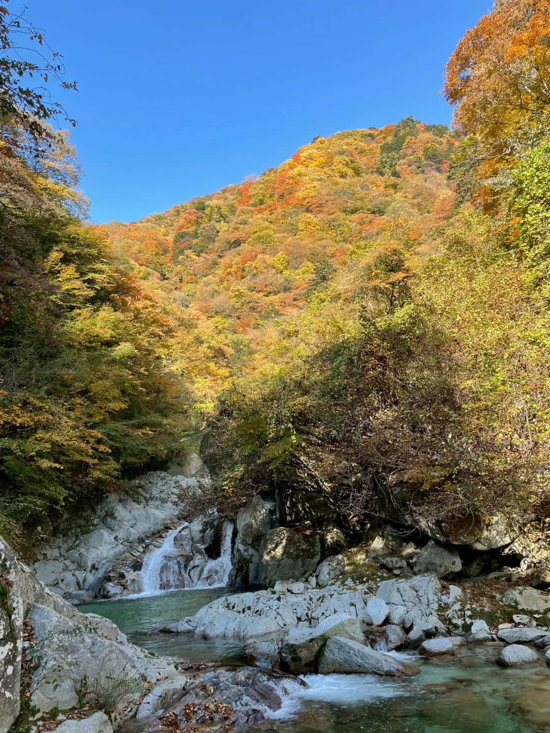 長谷川病院 職員同好会活動 登山部 尾白川渓谷