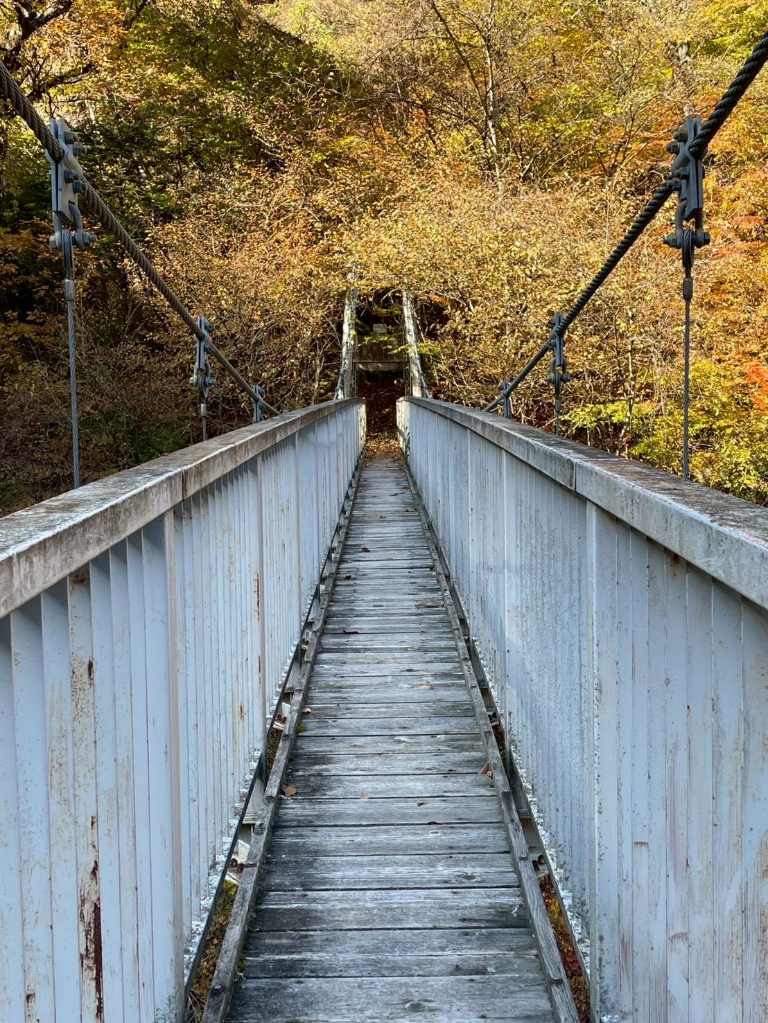 長谷川病院 職員同好会活動 登山部 尾白川渓谷